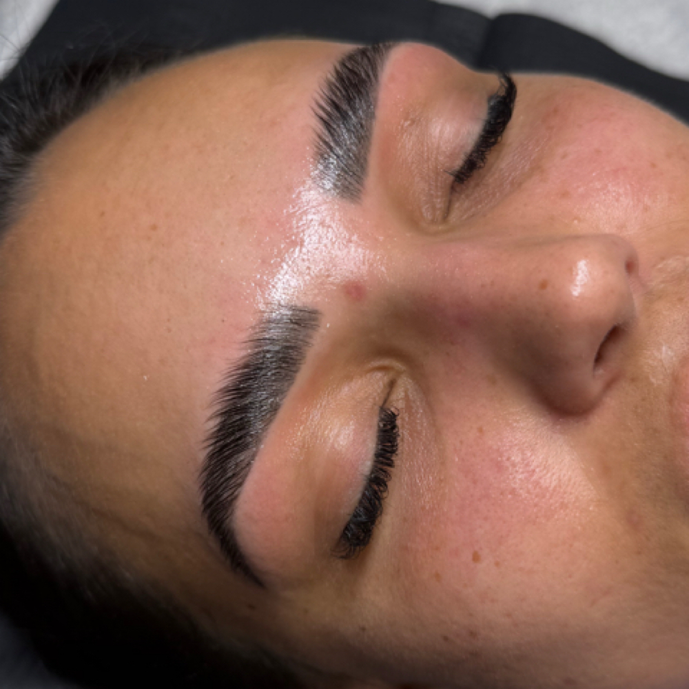 The Brow Lam at GLOBYSYD in Crown Point, IN