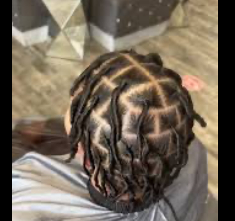 Large Starter Locs-75 Or Less Locs