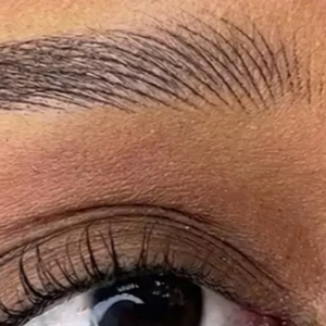 Nano Brows Perfection Session at GloVolution LLC in Homosassa, FL