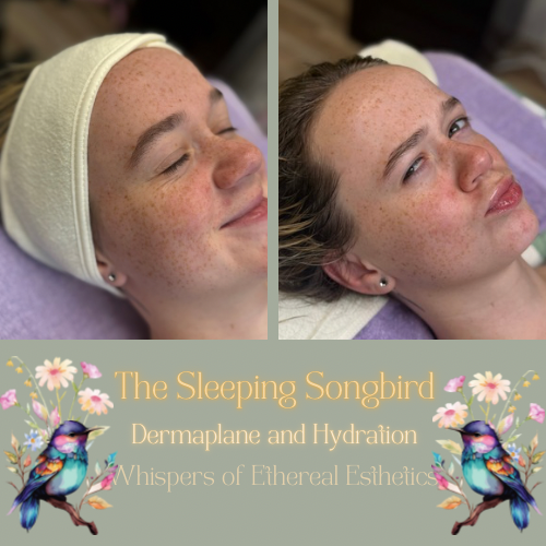 Sleeping Songbird at Whispers of Ethereal Esthetics in Plainville, MA