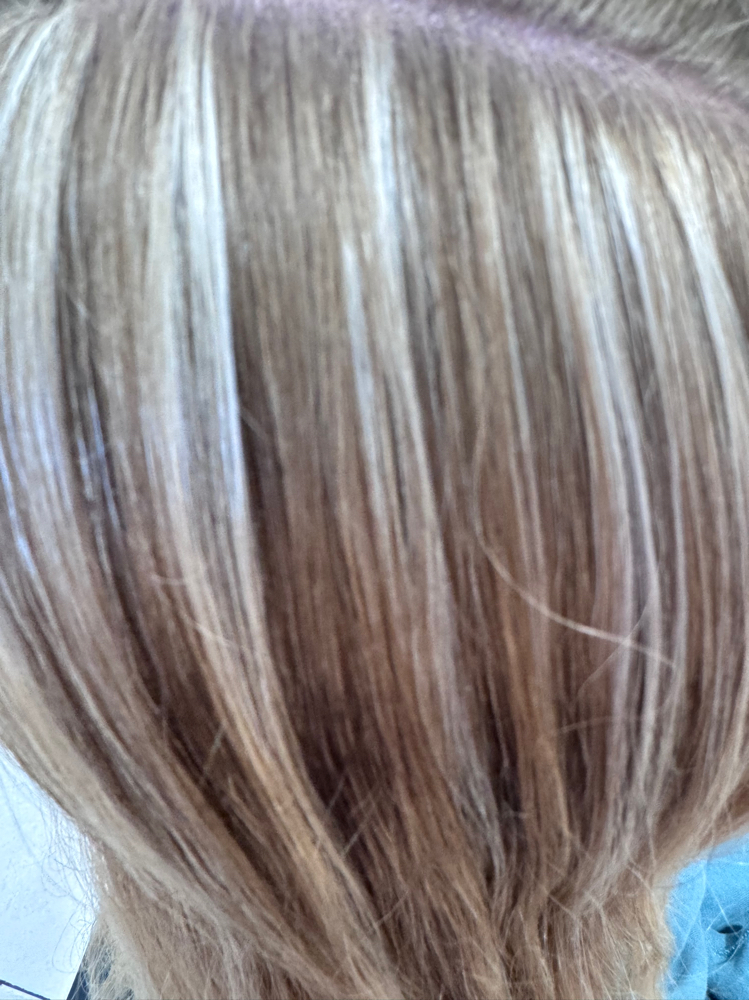 Highlights