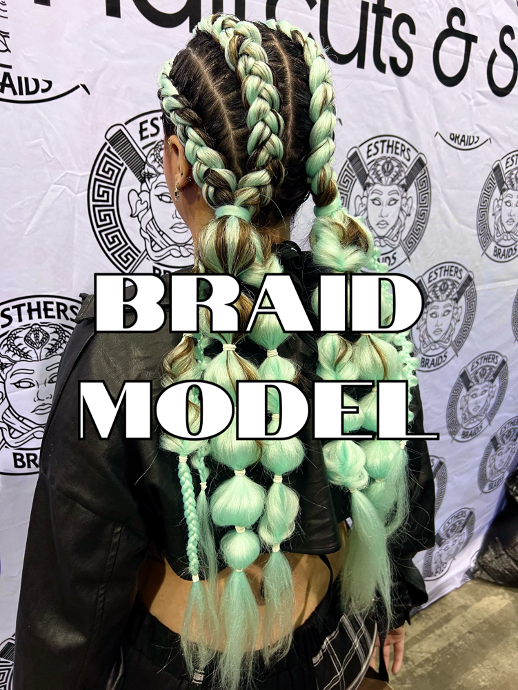 Feed In Braid Model
