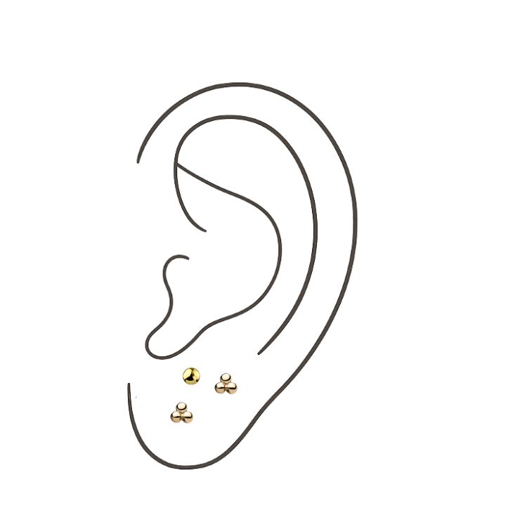 Stacked lobe (Jewelry Included)