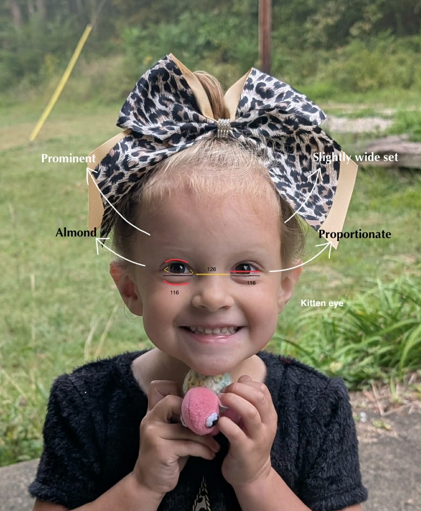 Facial Balancing Design & Lash at Drop Dead Aesthetic in Farmington, PA