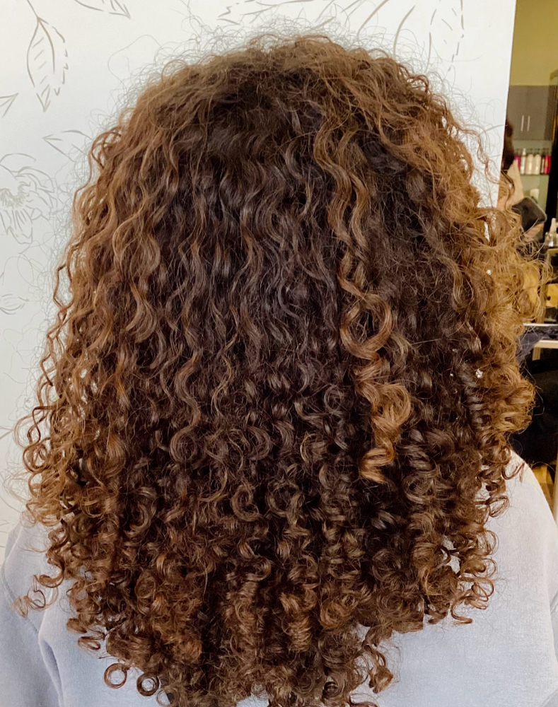 Haircut, Shampoo + Style