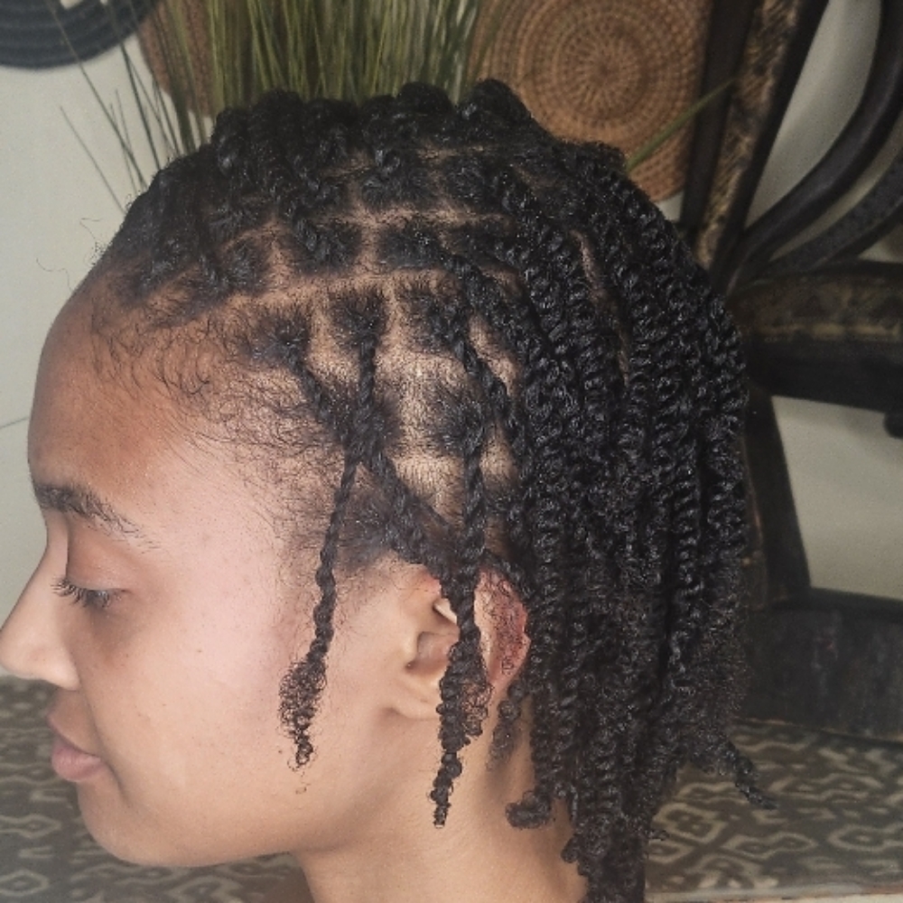 Double Strand Twist W/ Blow Out at PurdySweet Stylez in Brooklyn, NY
