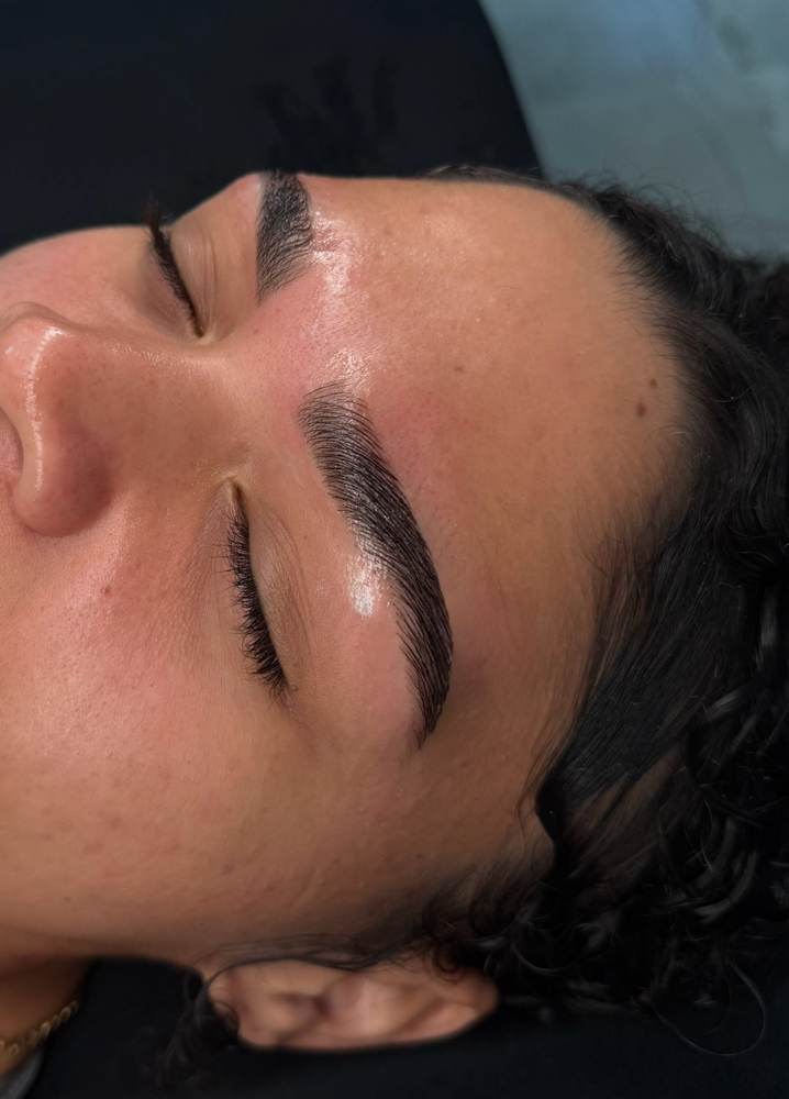 Brow Lamination, Shading, & Wax