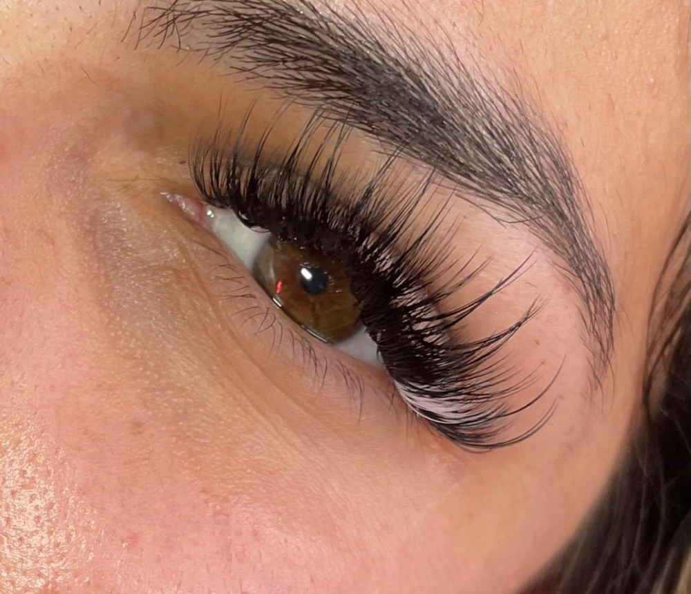 Strip Lash