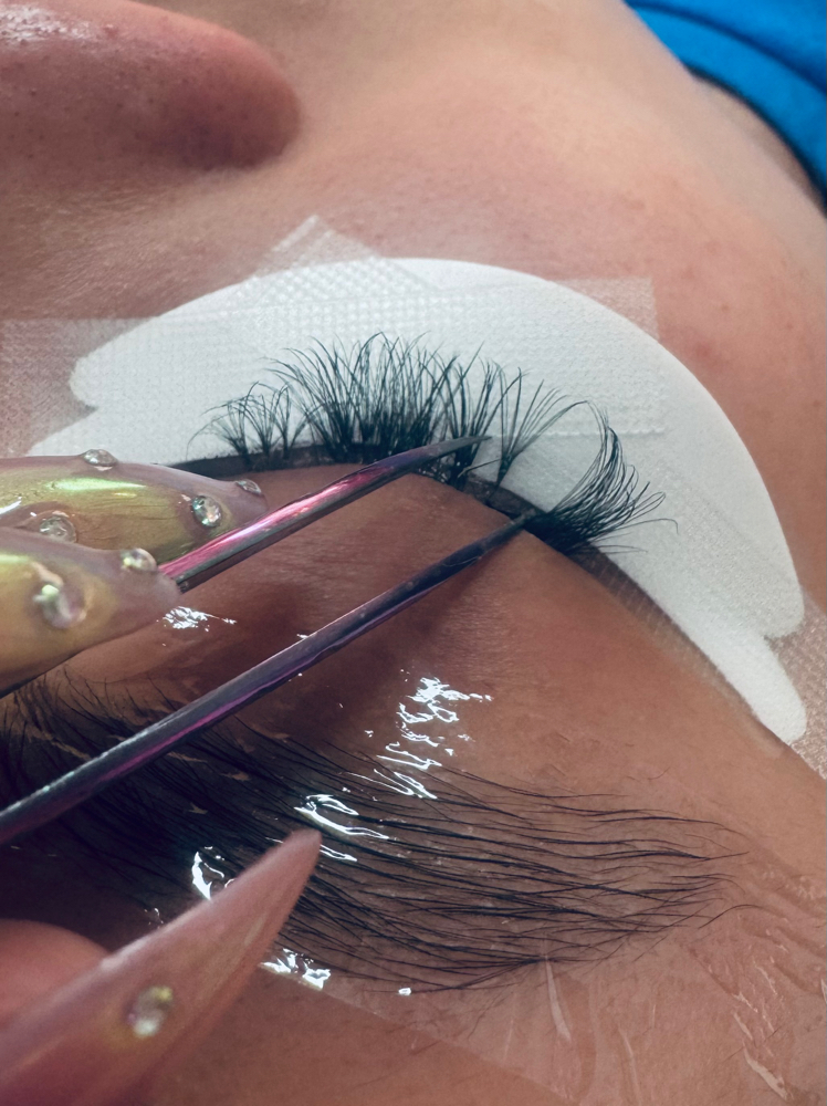Lash Member fill in