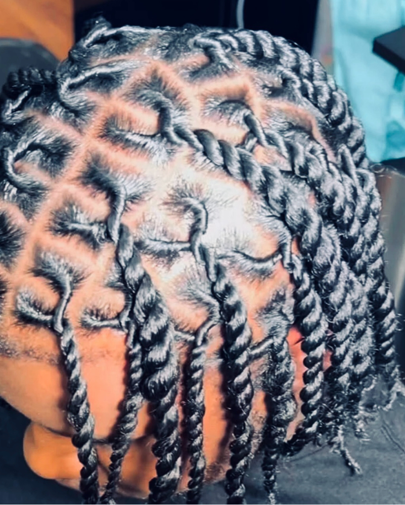 Two Strand Twist