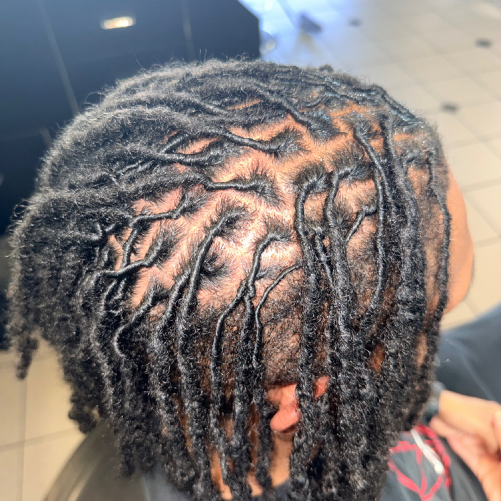 51-75 Locs Retwist & Style at LASHDAE of Roots To Royalty Studio in Phoenix, AZ