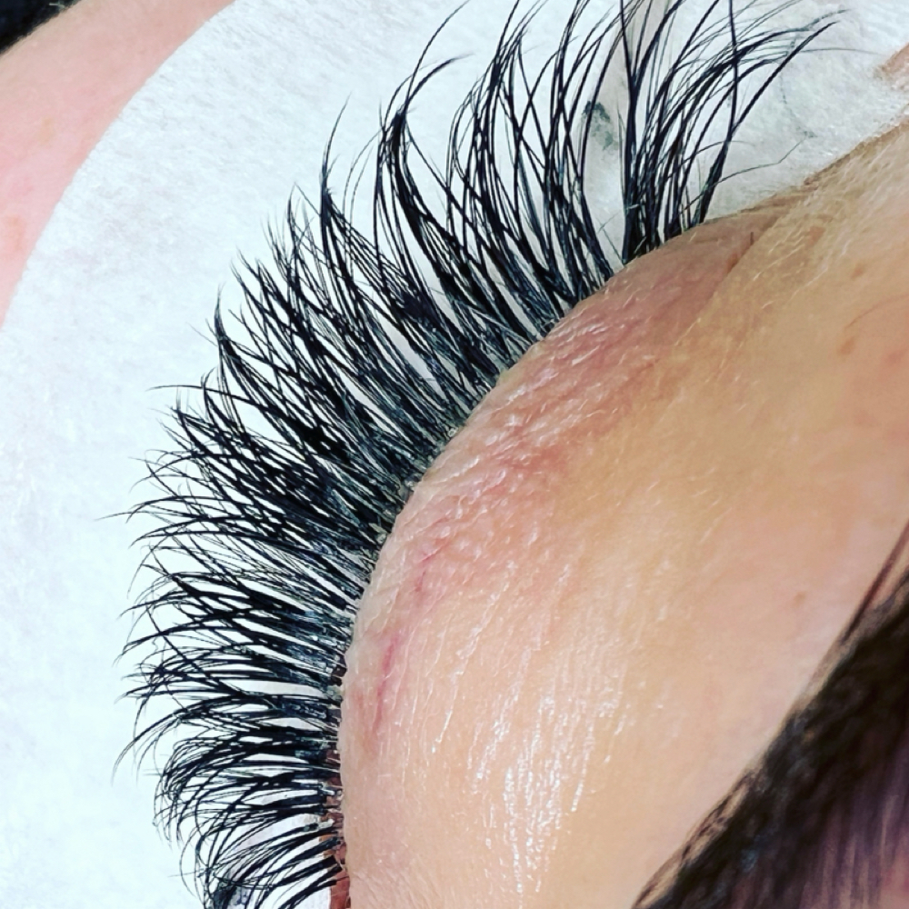 Hybrid Full Set | $50 OFF-Reg $210 at Acadia Lashing in Westlake, OH