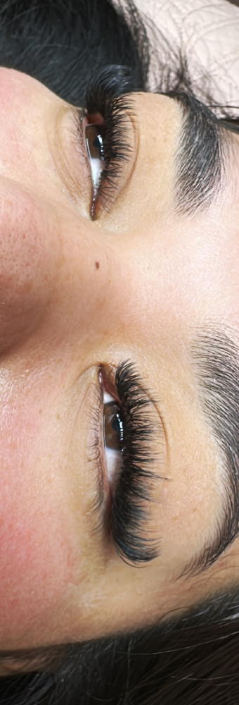 Lash Extensions Volume Set