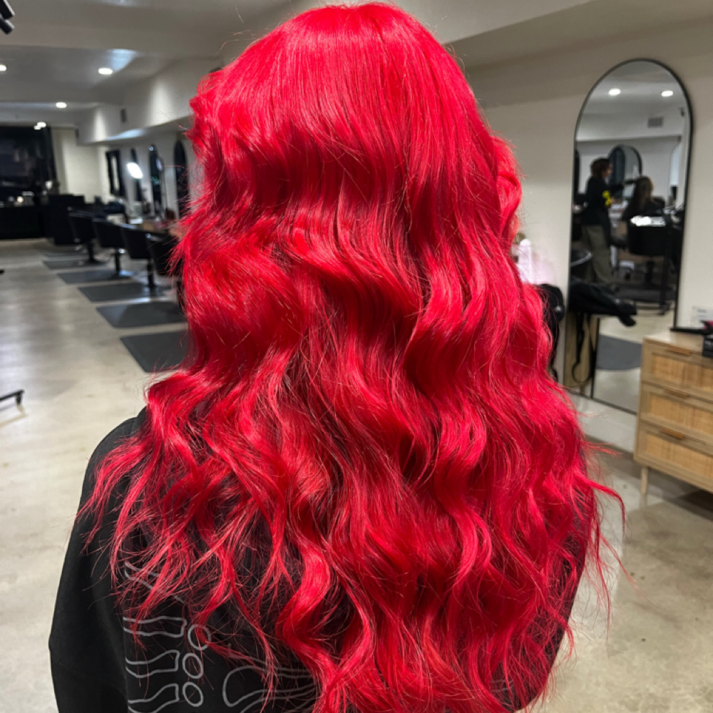 Fashion/Vivid Colors