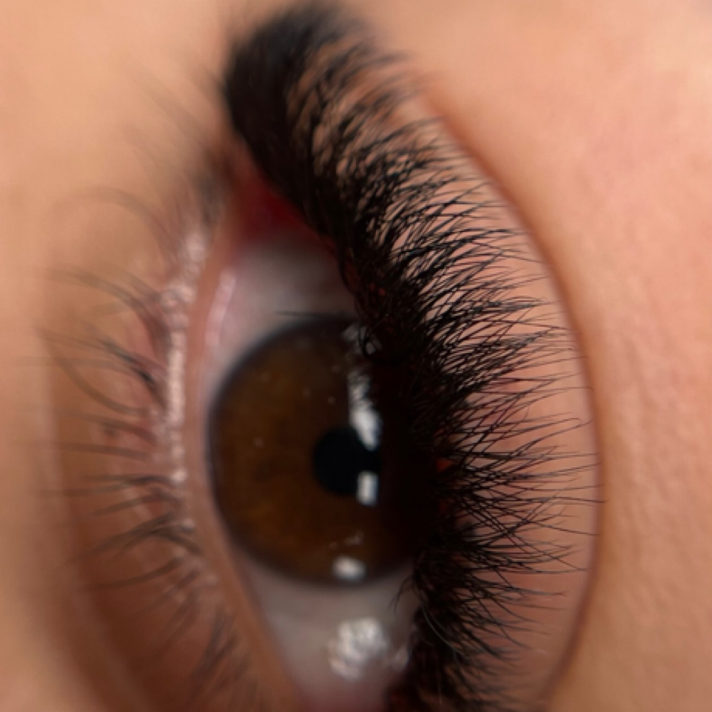 Lash Ext. (Ligth Volume 4D) at Roma Beauty in Nederland, TX