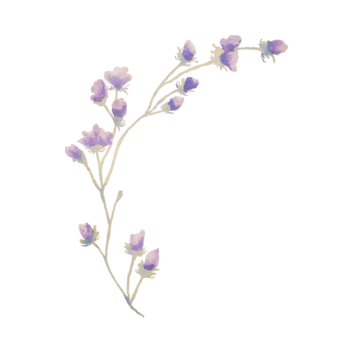 Brazilian And Underarm at Saddle Up Waxing in Burley, ID