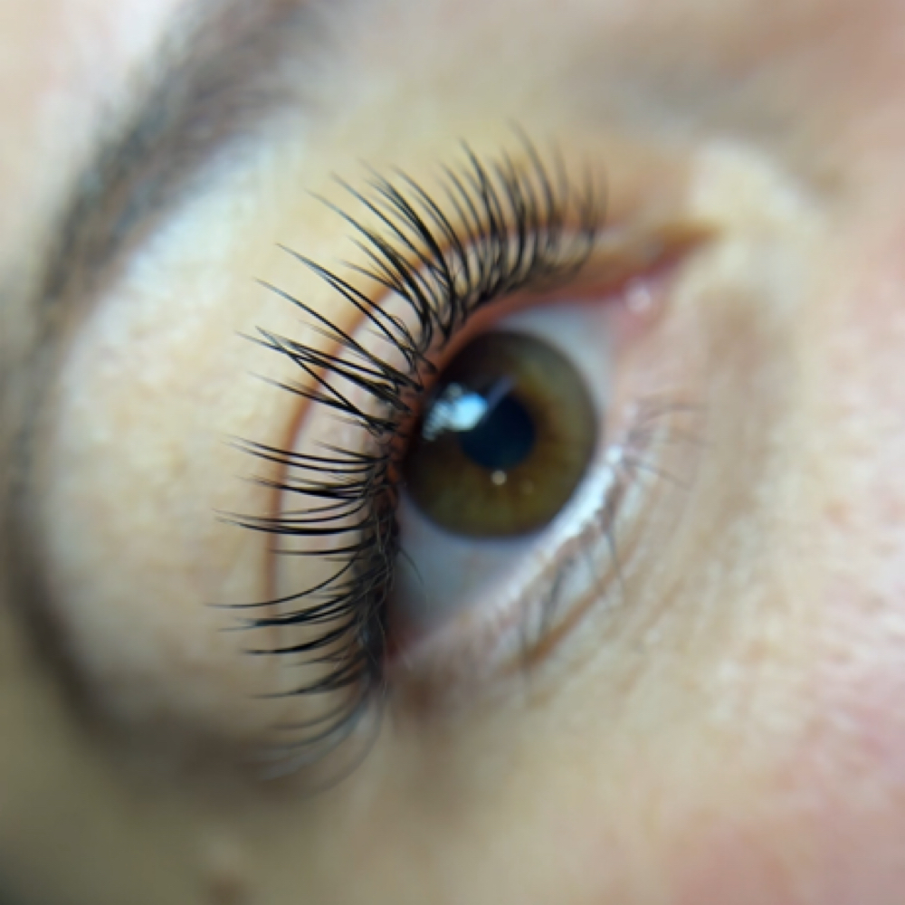 Classic Lash Fill 2 weeks at Blooming Beauty in Vancouver, WA