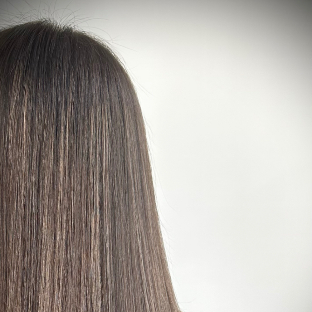 Full lowlights at Karlee Timmis in Riverview, MI