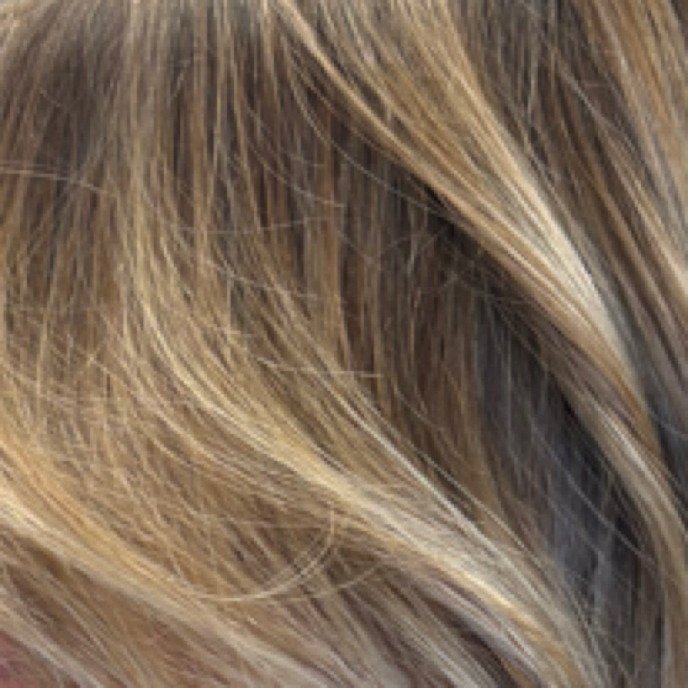 Tone/Gloss Treatment at Abigail Alena in Johnson City, TN
