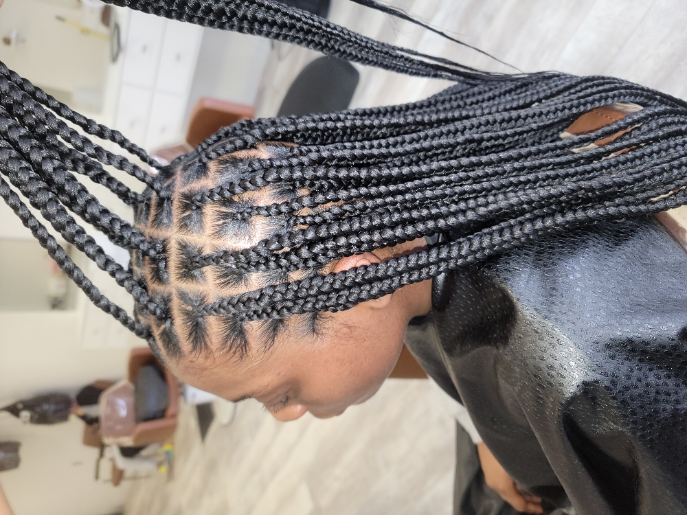 Knotless Braids Small