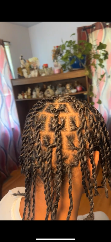 Two Strand Twists