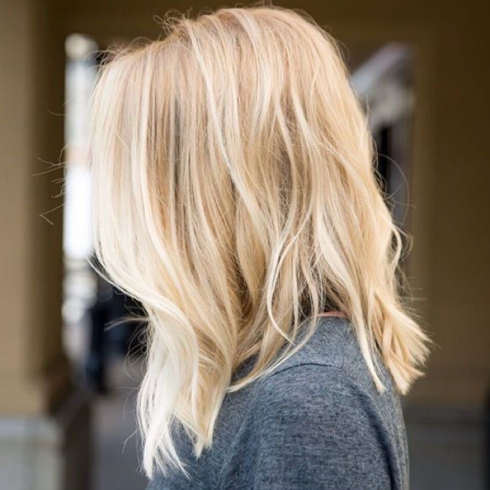 Highlights at Studio Knoxie in Chico, CA