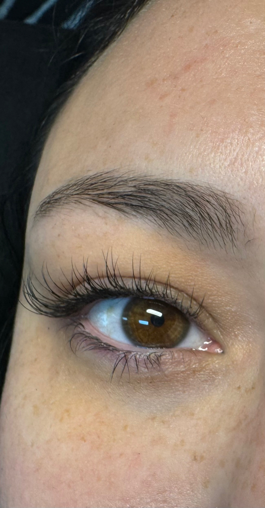 Classic Lash Extentions