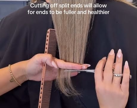 Haircut (shampoo, cut + style) at bridgette nichole artistry in Dixon, IL
