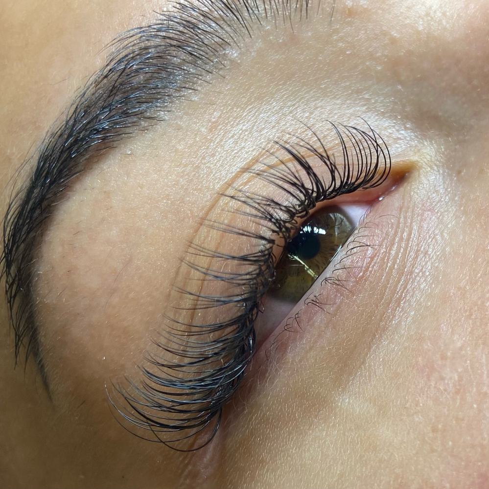 𝒯𝒽𝑒 𝐵𝒶𝓈𝒾𝒸 𝐵𝓇𝑜𝒶𝒹 at The Lash Broad in Beaumont, TX
