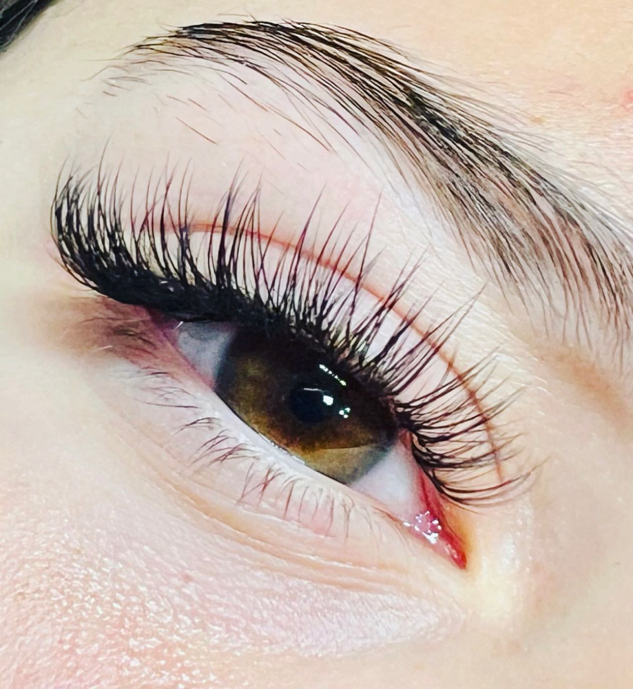 Hyrid 4 Week (28 -31 Day)