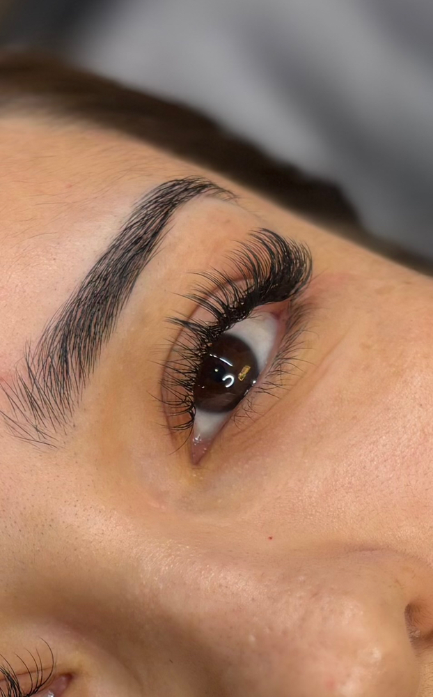 Eyelash Refill
