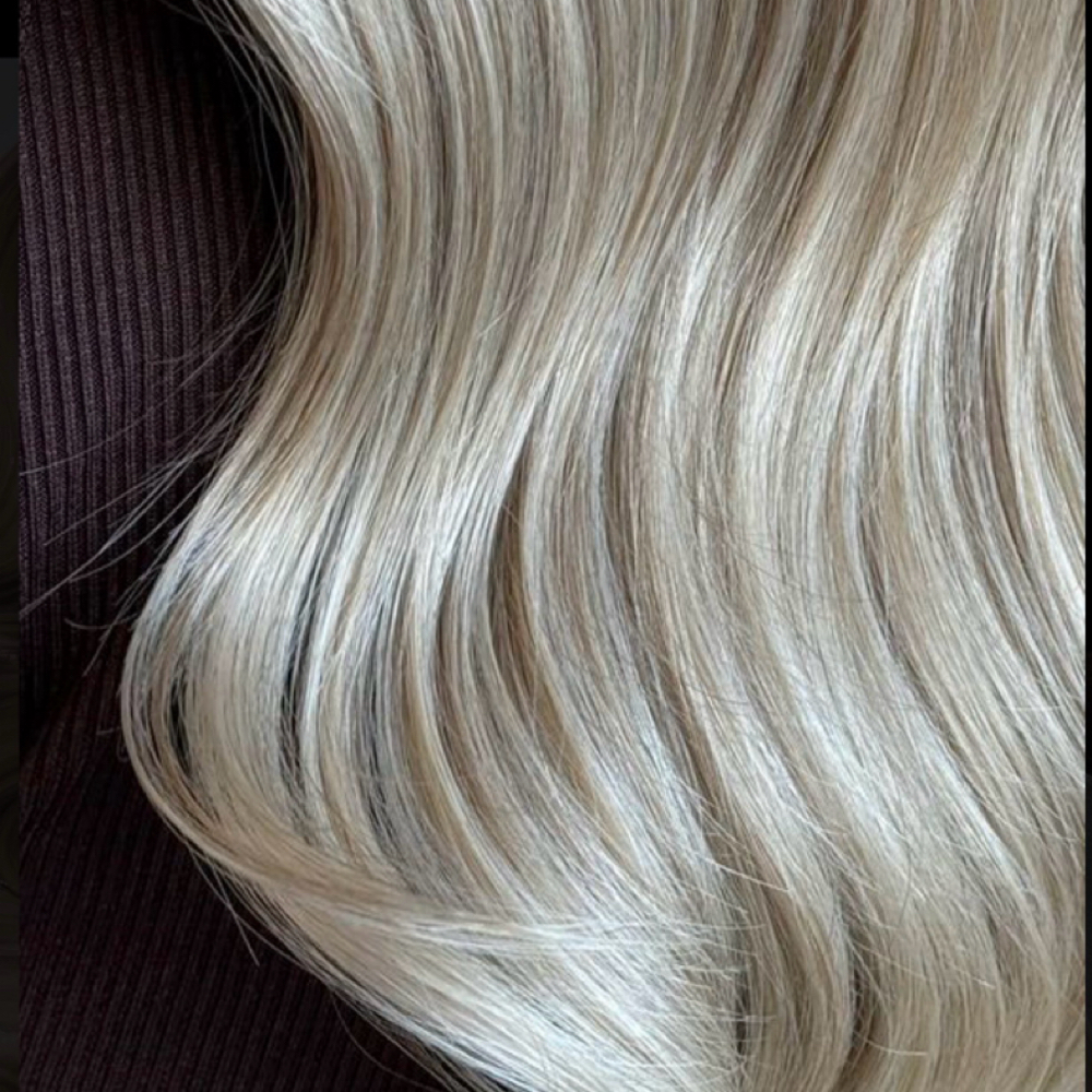 Toner refresh at livinwildstyles in tarpon springs, FL