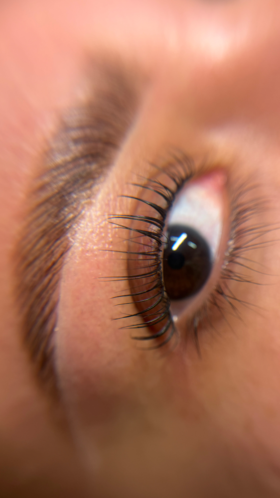 Korean Lash Lift + Tint at Rose Beauty Bar | LLC in Lewisville, TX