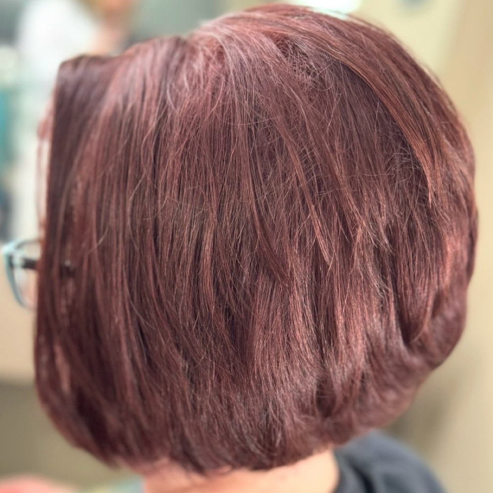 Cut & Style at Tia Bella Hair Studio in Natick, MA