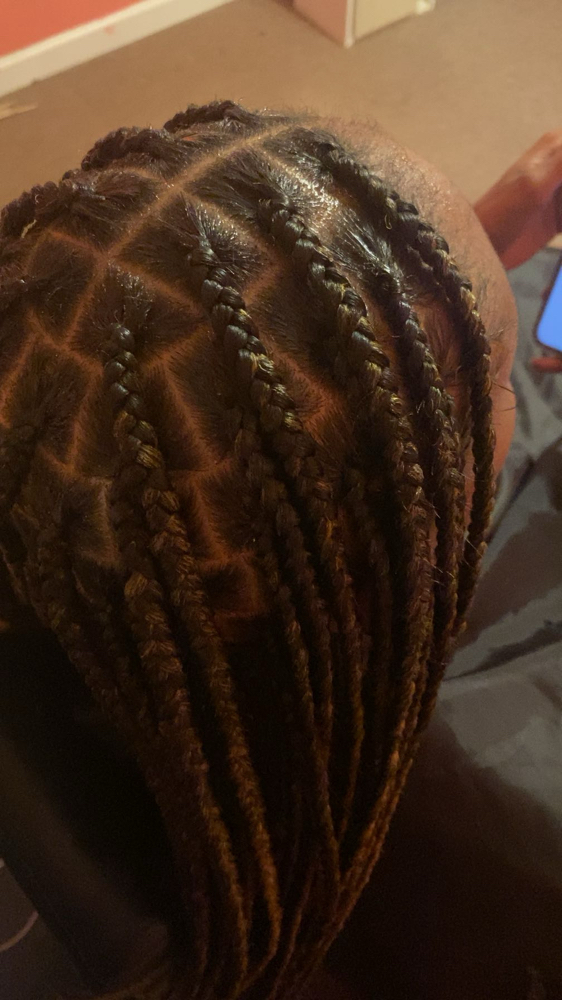 Knotless Box braids (mid back)