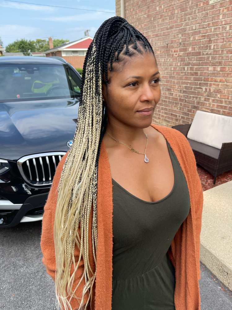 Smedium Ombré Knotless at Terrilashae in Chicago, IL