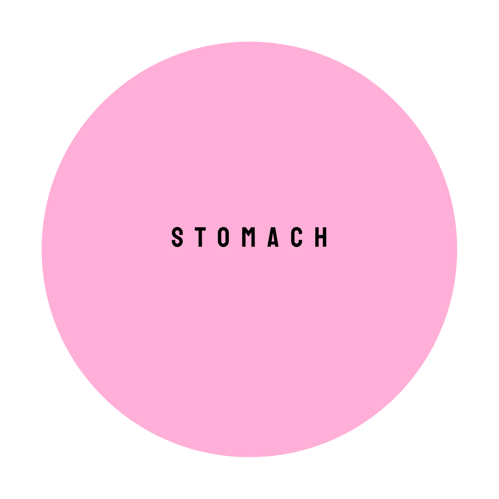 STOMACH at The Dollhouse Wax Studio in Smyrna, TN