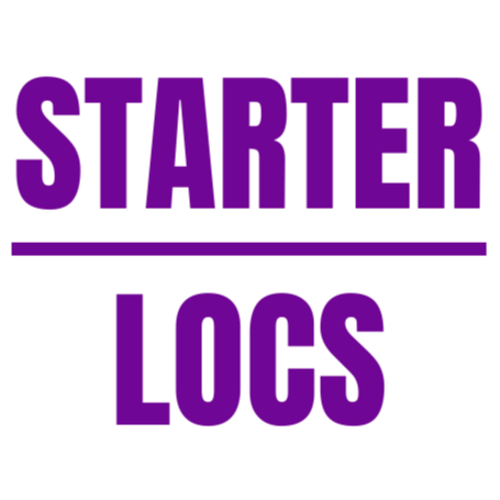Starter Locs at Loc’d Hair Studio in Southfield, MI