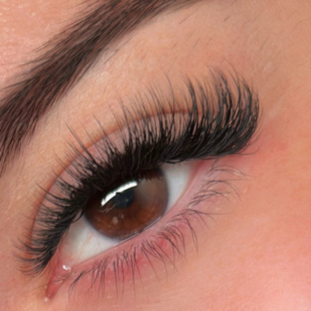 Pixie Hybrid Set at LNW in Hialeah, FL