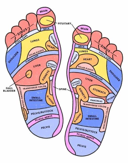Reflexology