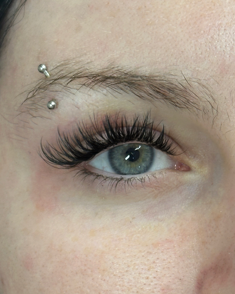 $90 Lash Extention Special ❄️