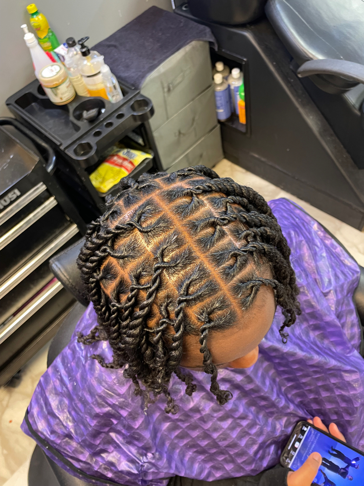 Two Strand Twist