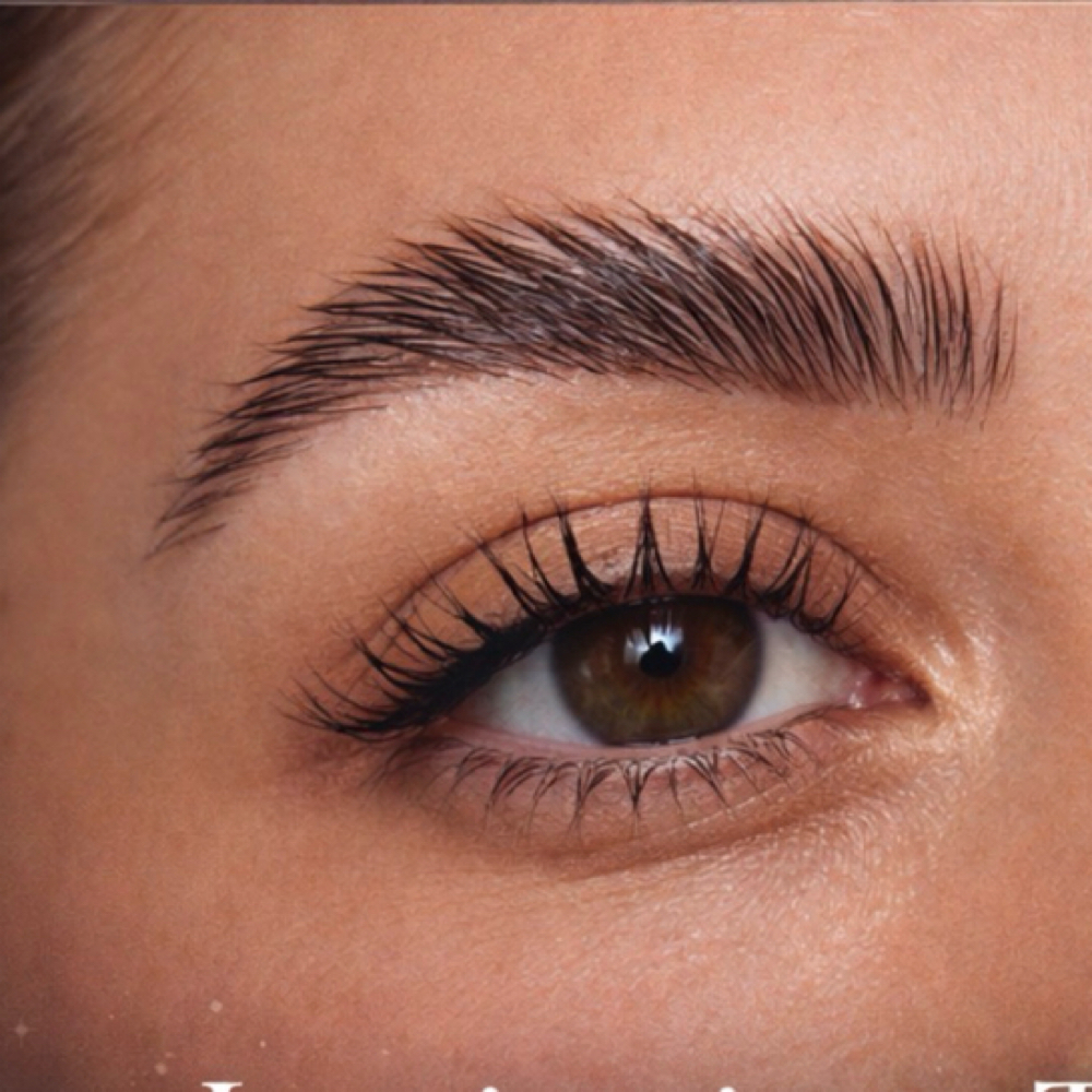 Brow Lamination at The Lash Mob LLC in Erie, PA