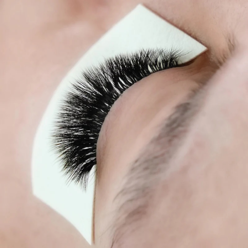 Model Set With Dani at Berry Lash in Lakewood Ranch, FL