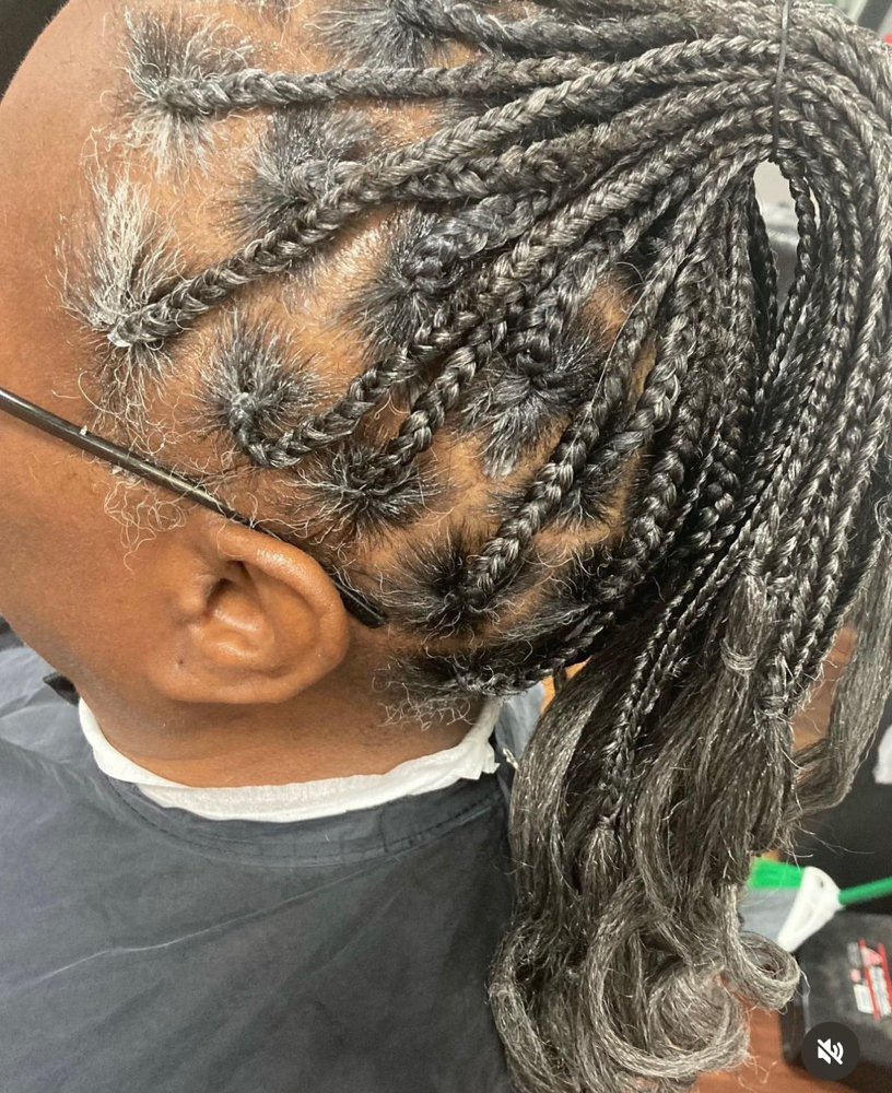 Basic Boxbraids