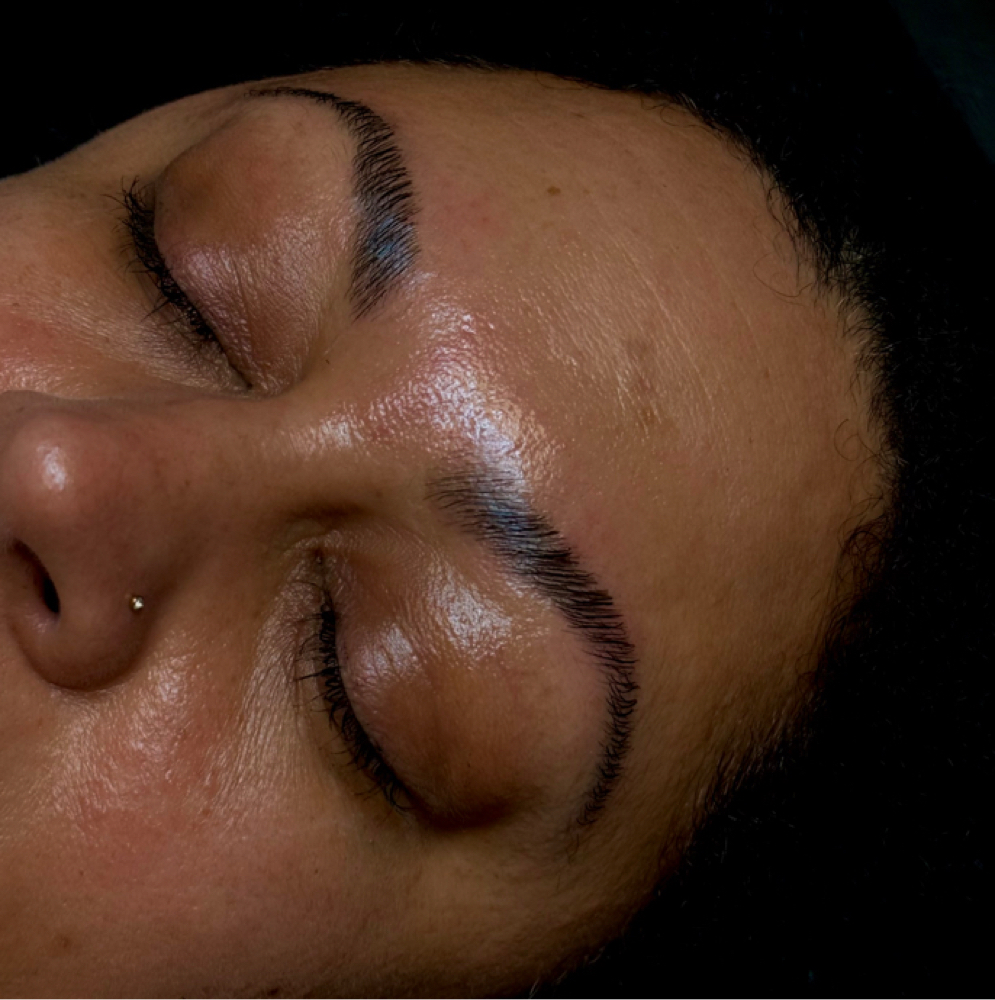 Brow Bundle at Aliya Alina Wax Studio in Sarasota, FL