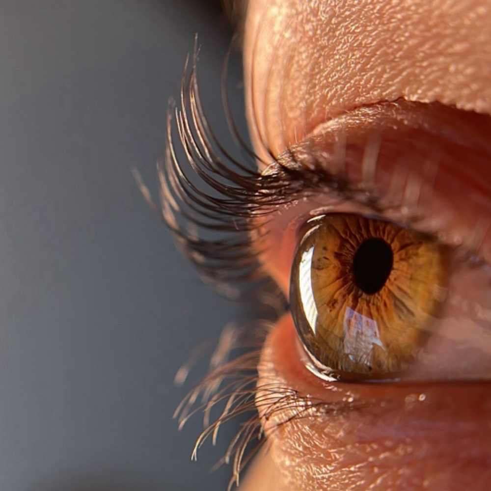 Eyelash Lifting at vallusa skincare & brows in miami, FL