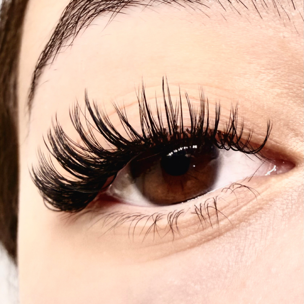 1 Hour Lash Fill at Lashes by Madison Bours in Thornton, CO