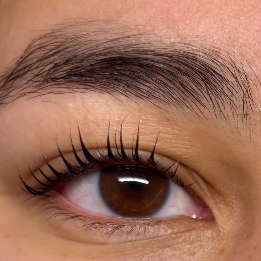 Eyelash Lift at MON AMOUR ESTHETICS in New Bedford, MA
