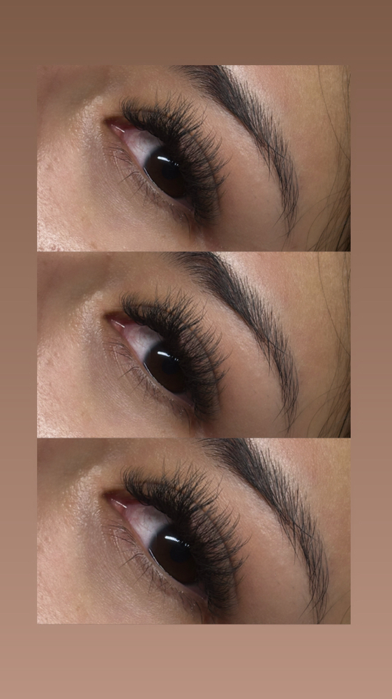 August Lash Sale